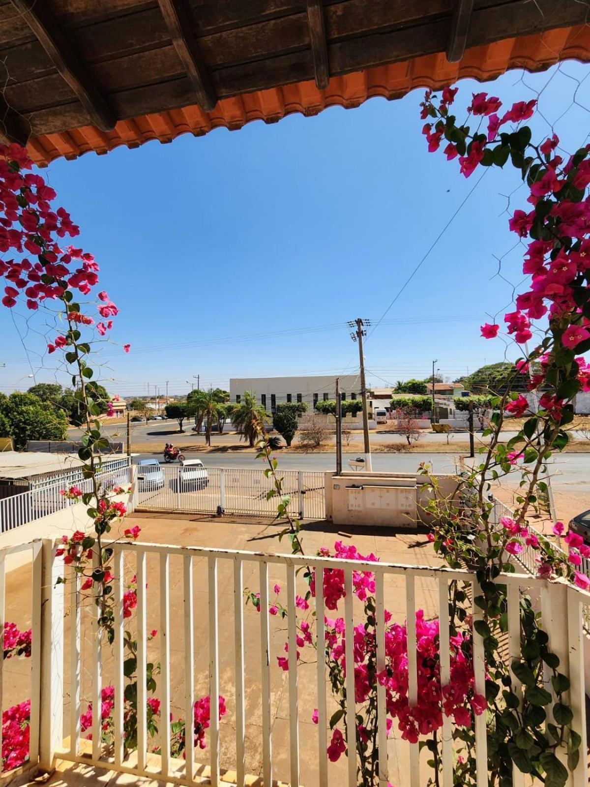 Economique Hotel Ilha Solteira Dış mekan fotoğraf